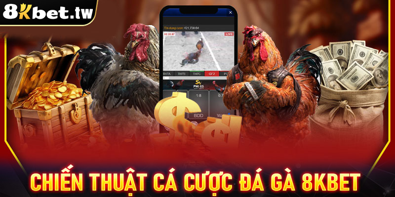 Chiến thuật cá cược đá gà 8Kbet dành cho tân thủ mới 